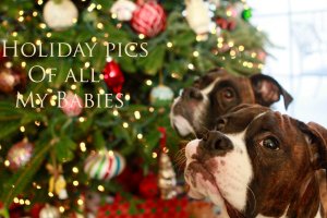 View More: http://nicesharpphotography.pass.us/cecelia