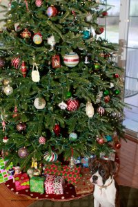 View More: http://nicesharpphotography.pass.us/cecelia