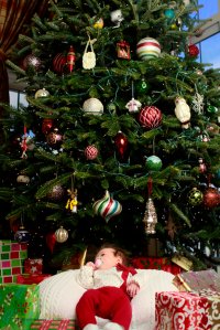 View More: http://nicesharpphotography.pass.us/cecelia