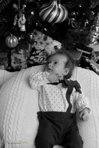 View More: http://nicesharpphotography.pass.us/cecelia