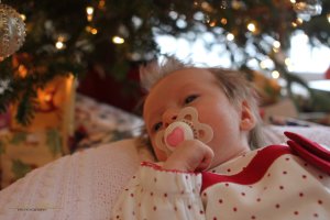 View More: http://nicesharpphotography.pass.us/cecelia