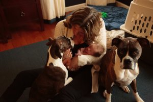 View More: http://kristinaquinones.pass.us/babycharlotte