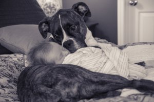 View More: http://kristinaquinones.pass.us/babycharlotte