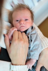 View More: http://kristinaquinones.pass.us/babycharlotte