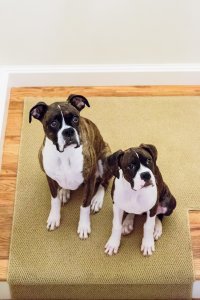 View More: http://kristinaquinones.pass.us/babycharlotte