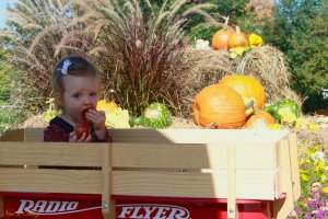 View More: http://nicesharpphotography.pass.us/charlotte