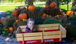 View More: http://nicesharpphotography.pass.us/charlotte