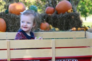 View More: http://nicesharpphotography.pass.us/charlotte