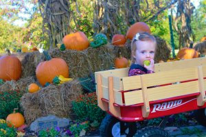 View More: http://nicesharpphotography.pass.us/charlotte