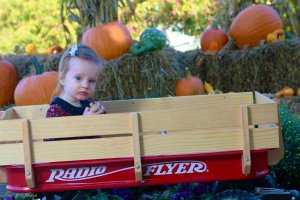 View More: http://nicesharpphotography.pass.us/charlotte