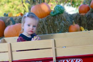 View More: http://nicesharpphotography.pass.us/charlotte