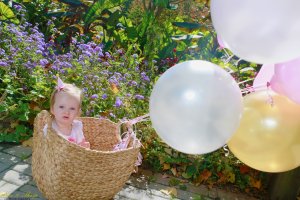 View More: http://nicesharpphotography.pass.us/charlotte