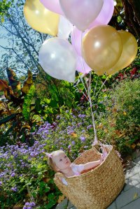 View More: http://nicesharpphotography.pass.us/charlotte