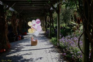 View More: http://nicesharpphotography.pass.us/charlotte