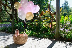 View More: http://nicesharpphotography.pass.us/charlotte