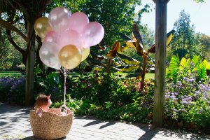 View More: http://nicesharpphotography.pass.us/charlotte