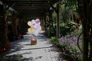 View More: http://nicesharpphotography.pass.us/charlotte