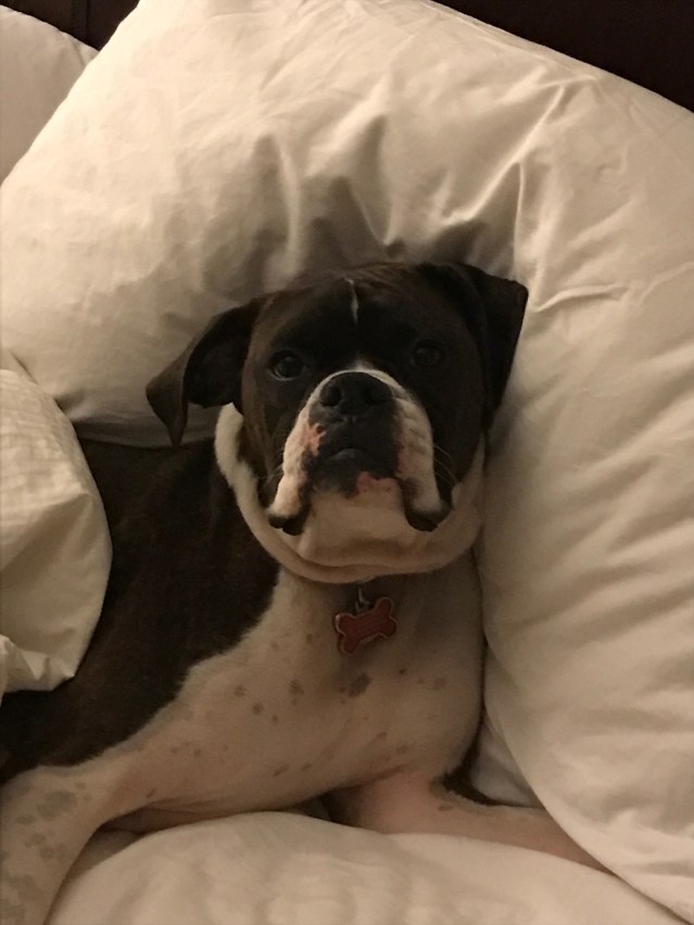 5C4A214E-B585-4B1C-BE0B-23BA4236737D